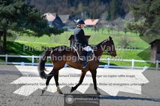 ref. photo 3552036