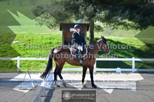 ref. photo 3552038