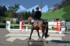 ref. photo 3552050