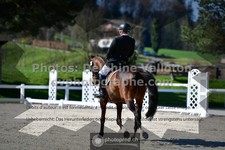 ref. photo 3552051
