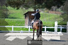 ref. photo 3552052