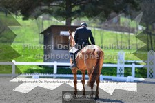 ref. photo 3552056