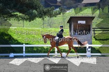 ref. photo 3552057