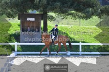 ref. photo 3552058