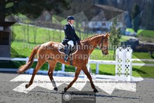 ref. photo 3552062