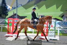 ref. photo 3552063