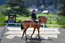 ref. photo 3552065