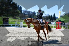 ref. photo 3552068
