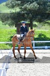 ref. photo 3552070