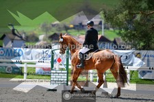 ref. photo 3552072