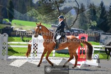 ref. photo 3552073