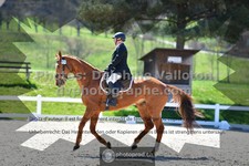ref. photo 3552074