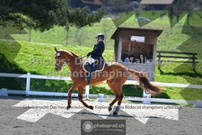 ref. photo 3552076