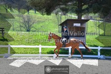 ref. photo 3552080