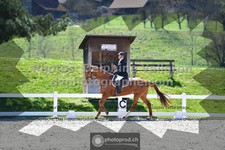 ref. photo 3552081