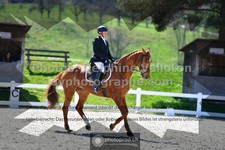 ref. photo 3552084