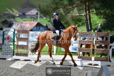 ref. photo 3552087