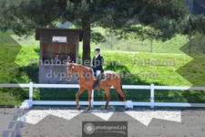 ref. photo 3552093