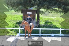 ref. photo 3552094