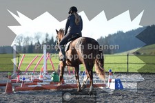 ref. photo 3552102