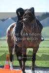 ref. photo 3552128