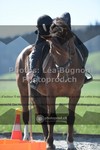 ref. photo 3552129