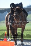 ref. photo 3552130