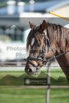 ref. photo 3552131