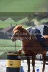 ref. photo 3552135