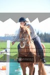 ref. photo 3552139