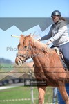 ref. photo 3552148