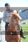 ref. photo 3552156