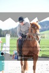 ref. photo 3552157