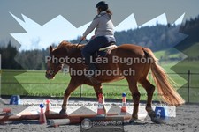 ref. photo 3552159