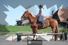 ref. photo 3552160