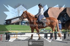 ref. photo 3552161