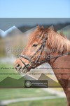 ref. photo 3552163