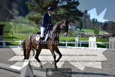 ref. photo 3552167