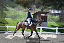 ref. photo 3552177