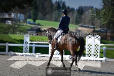 ref. photo 3552179