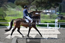 ref. photo 3552180