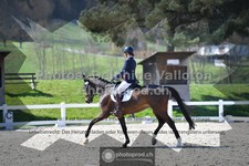 ref. photo 3552185