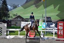 ref. photo 3552188