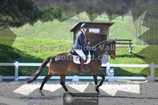 ref. photo 3552192