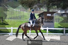 ref. photo 3552193