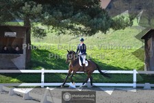 ref. photo 3552200
