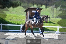ref. photo 3552202