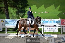 ref. photo 3552205