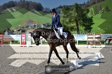 ref. photo 3552206