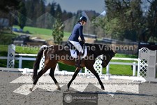 ref. photo 3552208